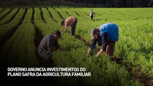 Governo anuncia investimentos do plano safra da agricultura familiar