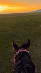 SUPERBE SUNSET à cheval