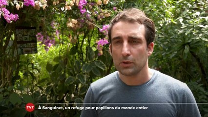 Le Grand J.T. des Territoires du 12 juillet 2025