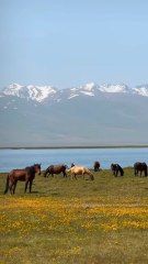 SUBLIMES VUES sur le Kirghizistan