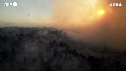 Messico, gli incendi divorano da giorni i boschi della Baja California