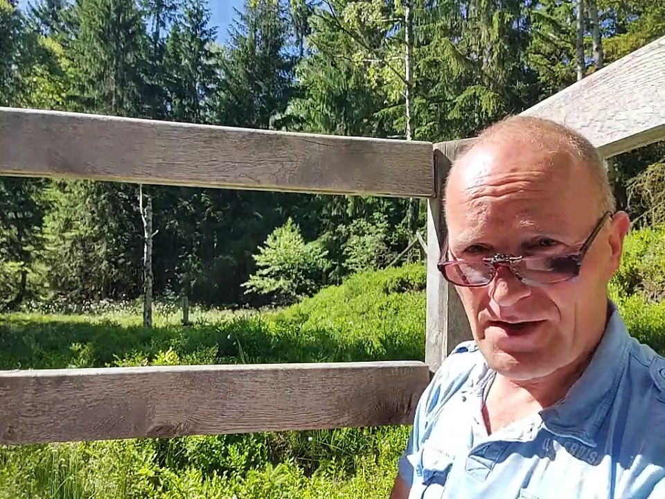 Dreihundert wichtige Veränderungen im Text des Neuen Testamentes - 1