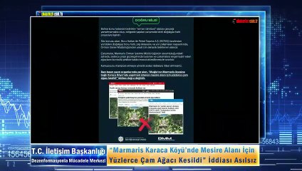 “Marmaris Karaca Köyü’nde Mesire Alanı İçin Yüzlerce Çam Ağacı Kesildi” İddiası Asılsız