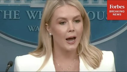 Karoline Leavitt Alligator Alcatraz Will 'Help Carry Out The Largest Mass Deportation Campaign'