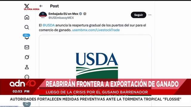 🚨¡Última Hora! Reabrirán frontera a exportación de ganado tras la crisis por el gusano barrenador