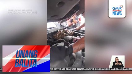 Sawa, natagpuan sa makina ng isang sasakyan | Unang Balita