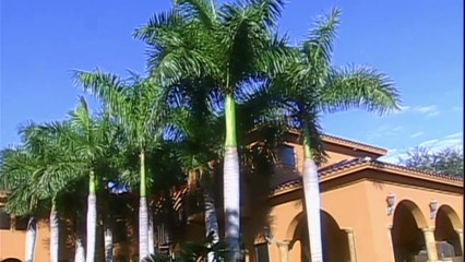 ANGEL REBELDE | Capitulo 118 | Telenovelas | TELEVISION DIGITAL