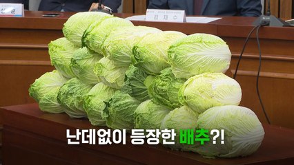 [영상] '배추'까지 등장한 국민청문회...여야 여론전 점입가경 / YTN