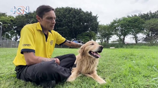 Cumple 10 años de servicio y pronto dirá adiós: la historia del perro bombero Zeus