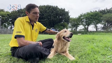 Cumple 10 años de servicio y pronto dirá adiós: la historia del perro bombero Zeus