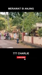 AWALNYA PRIA INI BENCI ANJING TAPI AHIRNYA MALAH...