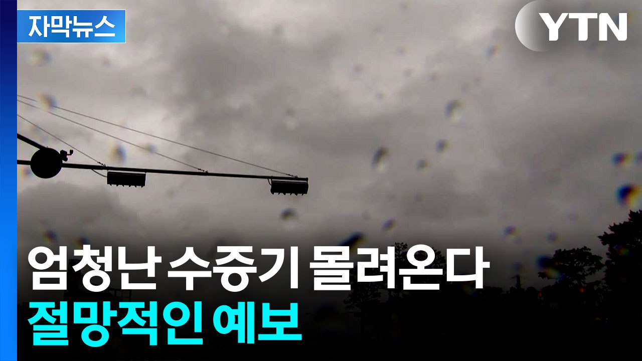 [자막뉴스] '장마 어디 갔어?'...벌써 8월 한여름 더위 / YTN