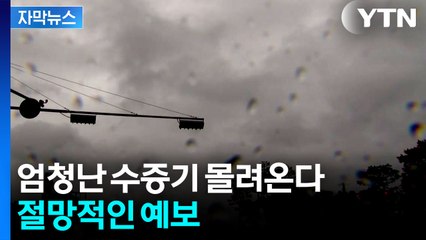 [자막뉴스] '장마 어디 갔어?'...벌써 8월 한여름 더위 / YTN