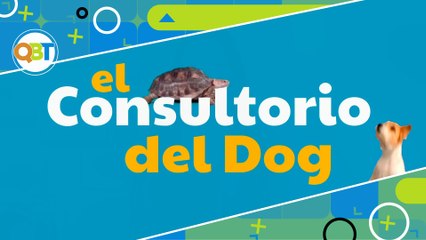 Veterinaria - Lunes 30 junio 2025