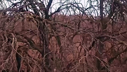 El pozo petrolero Lomas de Olmedo agrava su crisis ambiental en Pichanal