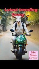 Viral latest trending funny videos 😂😂