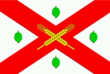 Flag of Donduseni District. Bendera Raion Donduseni. Donduseni District Flag. Flag of District of Donduseni. District of Donduseni Flag. Steagul raionului Dondușeni. Drapeau du raion de Donduseni. Bandeira do distrito de Donduseni. ドンドゥセニ地区の旗. 棟杜謝尼區旗幟