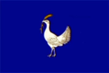 Flag of Brochia District. Bendera Raion Brochia. Brochia District Flag. Flag of District of Brochia. District of Brochia Flag. Steagul Raionului Brochia. Drapeau du raïon de Brochia. Bandeira do distrito de Brochia. Bandera del distrito de Brochia