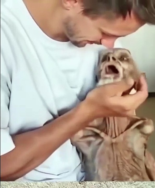 Entertainment#Videos funny#shortmove#shortviral#s