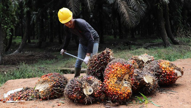 Terjerat Kasus Vonis Lepas CPO, Hakim Djuyamto Cs Segera Diadili