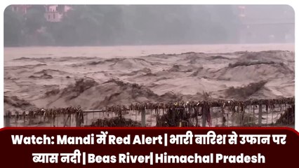 Watch: Mandi में Red Alert | भारी बारिश से उफान पर ब्यास नदी | Beas River| Himachal Pradesh