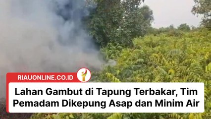 Lahan Gambut di Tapung Terbakar, Tim Pemadam Dikepung Asap dan Minim Air