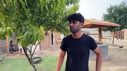 entertainment,online earning,relaxing,comedyshorts