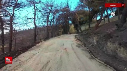 Hatay’daki orman yangınında zarar gören alanlar havadan görüntülendi
