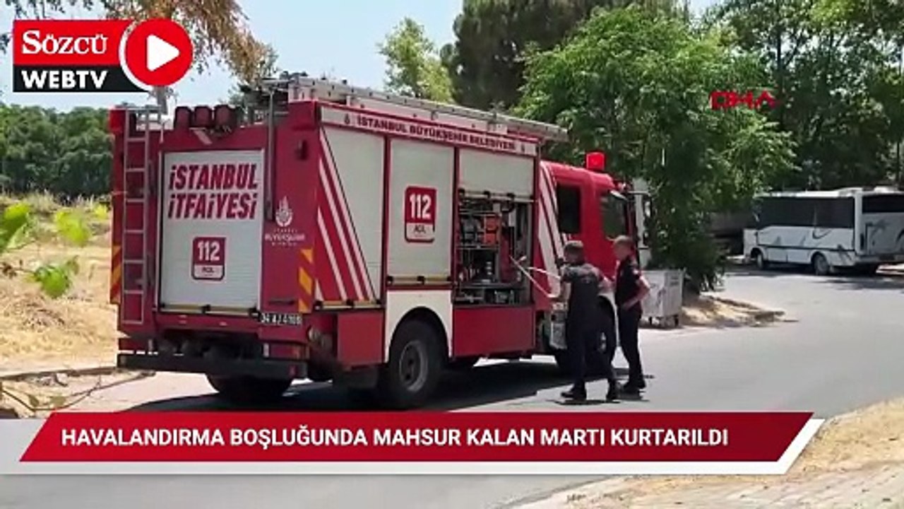 Avcılar'da havalandırma boşluğunda mahsur kalan martı kurtarıldı