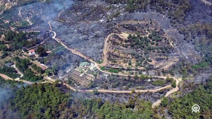 Orman yangınlarında zarar gören alanlar havadan görüntülendi
