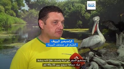 أين اختفى الفهد الأسود؟ القضية تتفاعل في بلغاريا وتكهّنات بعبوره الحدود إلى رومانيا