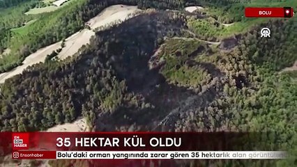 Bolu’daki orman yangınında zarar gören 35 hektarlık alan görüntülendi