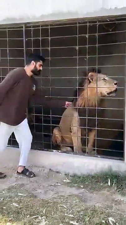 amazing video watch