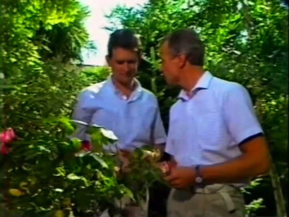 Neighbours deutsch - 211 - Titel (17.03)