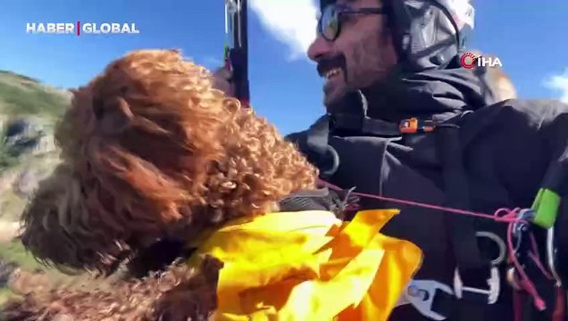 Toby isimli köpek paraşütle atlayıp 330 metrede uçuş deneyimi yaşadı