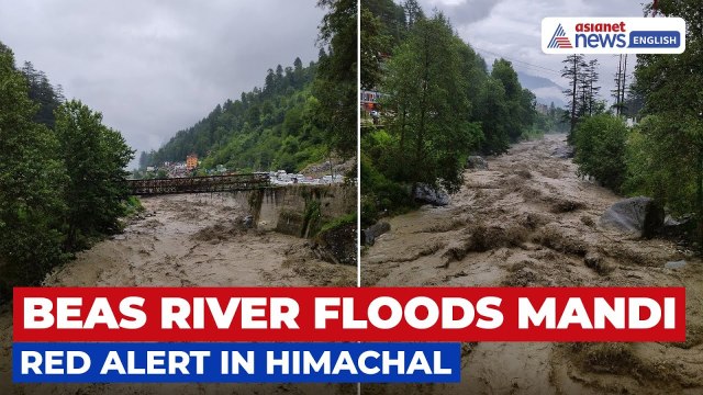Beas River Turns Violent: Red Alert in Himachal After Torrential Rains!