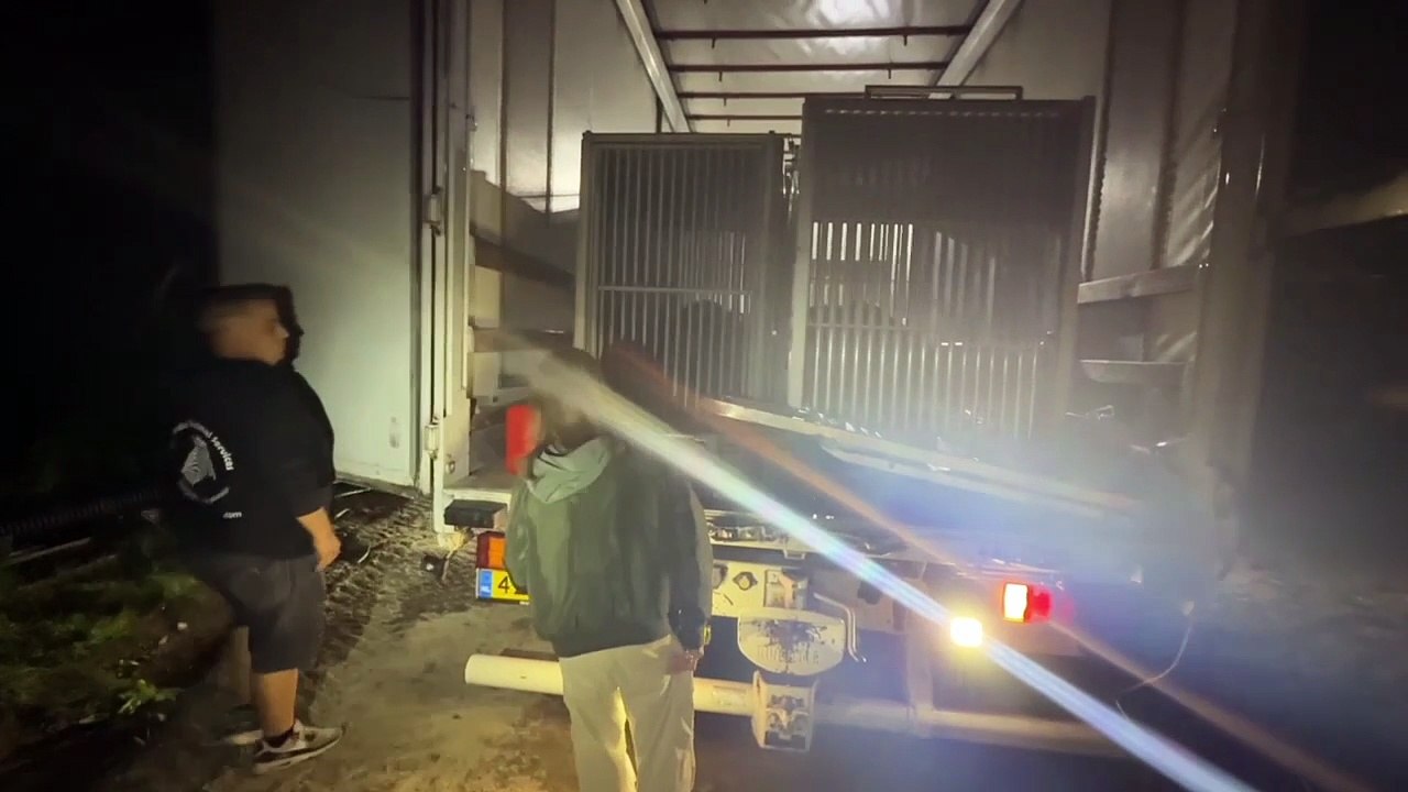 Anna Ryder Richardson welcomes critically endangered moon bears to Manor Wildlife Park near Tenby