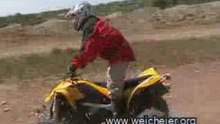 Weicheier/Ds 450