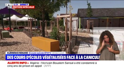 "On a planté une quinzaine d'arbres": cette école d'Ormes dans le Loiret a réaménagé sa cour de récréation pour lutter contre les fortes chaleurs
