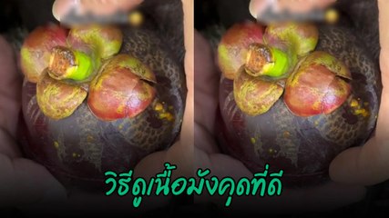 วิธีดูเนื้อมังคุดที่ดี เปิดทีนี่ลั่นเลย