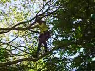 2008-05-10 Vivi ds platane