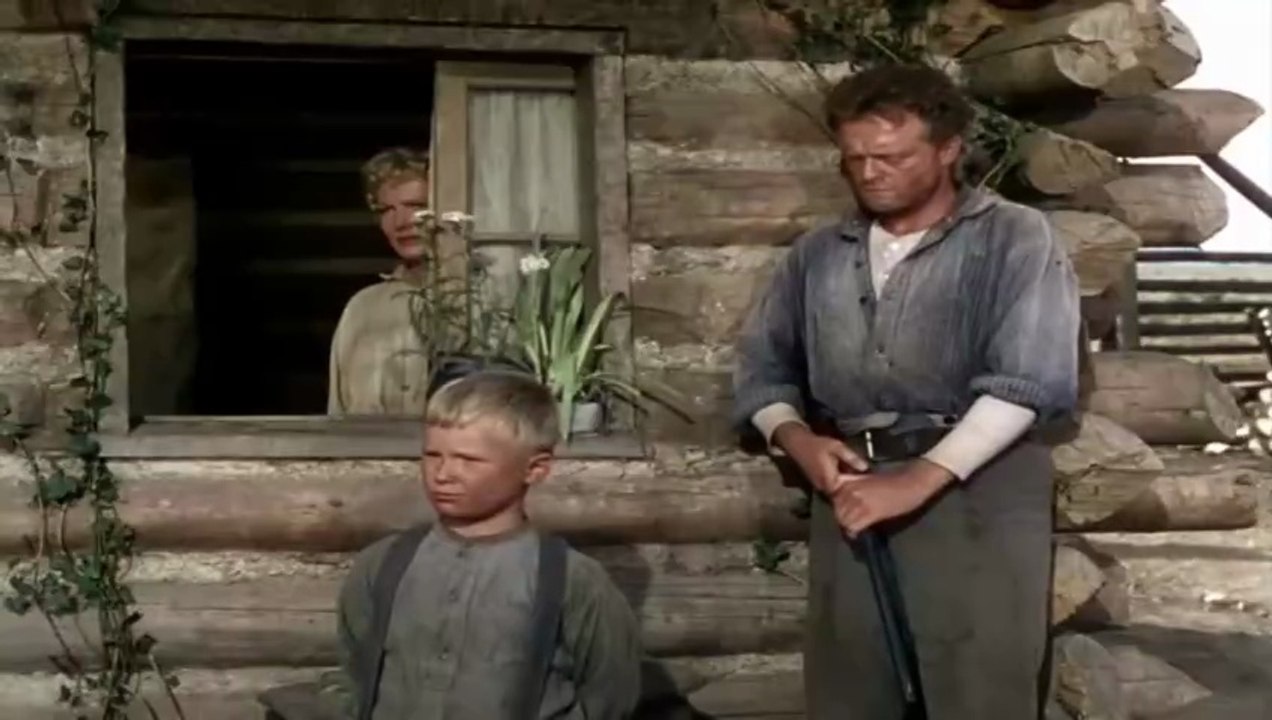 Os brutos também amam....