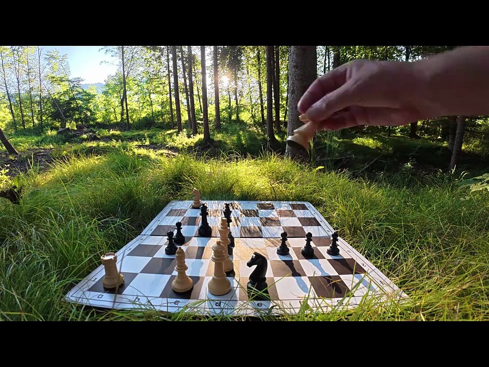 Puch near Hallein – Chess study by Peter Krug