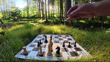 Puch near Hallein – Chess study by Peter Krug