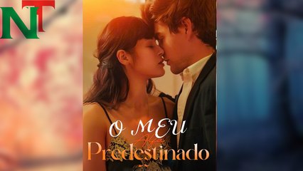 O Meu Alfa Predestinado Filme Completo