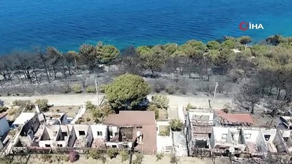 İzmir’deki yangında 85 yazlık ev küle döndü