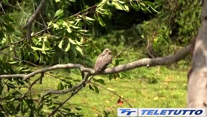 Video News - Alluvioni 2023, nel bresciano 26,5 milioni di euro di fondi