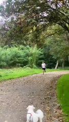 semi marathon avec mon père épisode 2