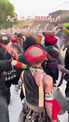 قلندری دھمال بہت ہی خوبصورت انداز میں