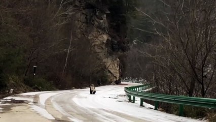 The daily life of pandas 🐼   #Panda #Lovely